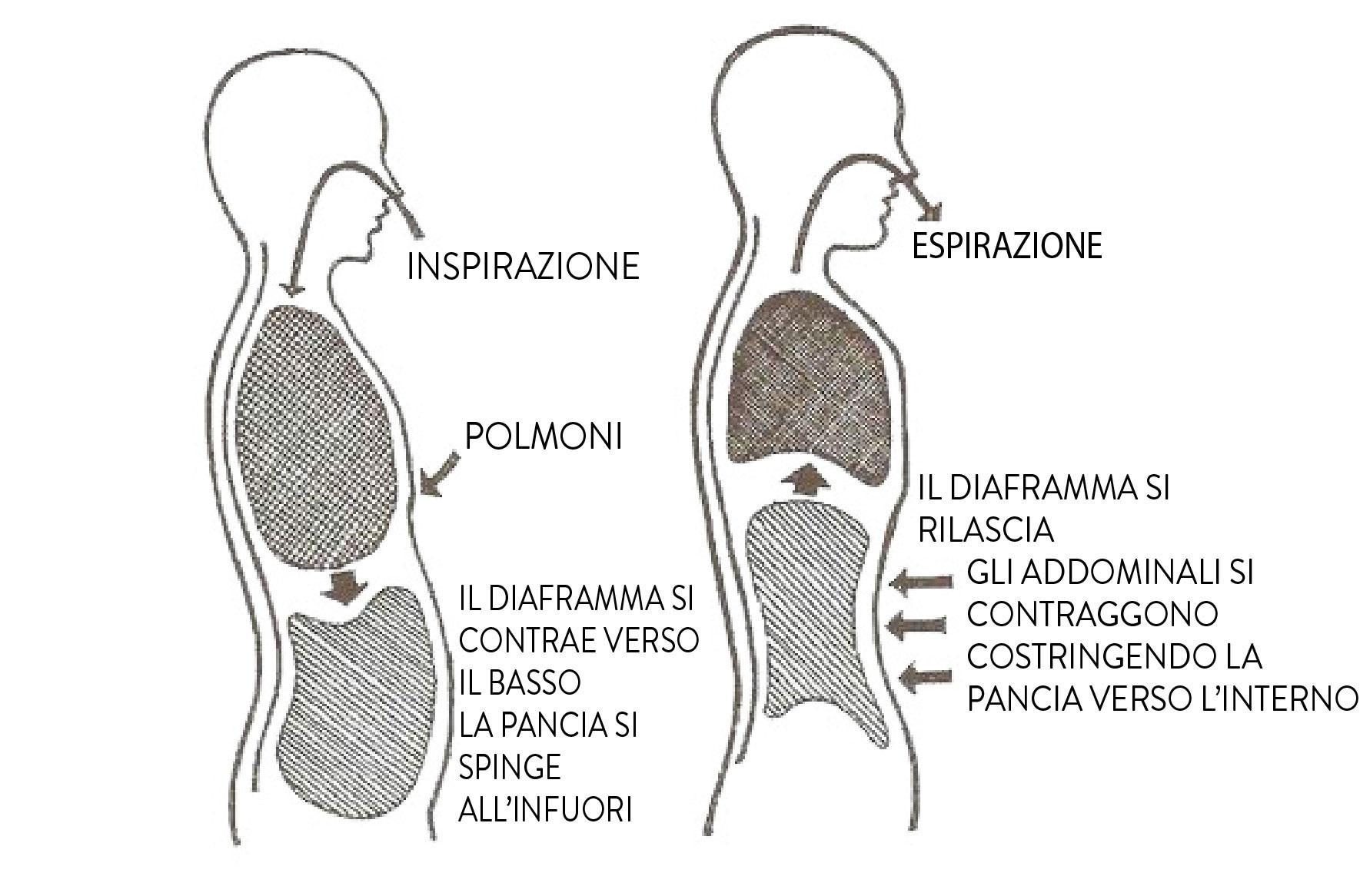 respirazione2jpg