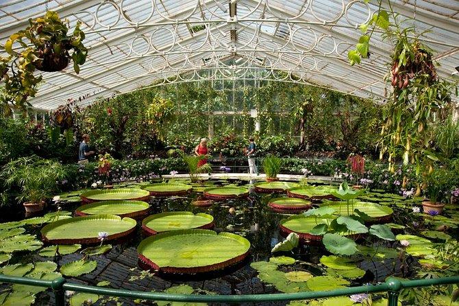 Biglietti per il Palazzo di Kew e il Giardino Botanico Reale