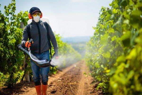 Energia pulita: il 90% delle aziende agricole italiane non produce rinnovabili