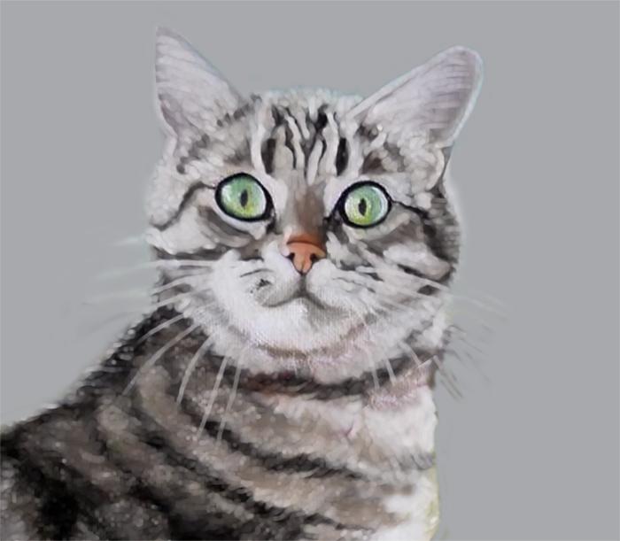 quadro con il ritratto del tuo gatto,dipinto personalizzato del tuo gatto,animale domestico,quadro gatto,dipinto gatto,quadro dipinto a mano su tela a olio del tuo gatto,
