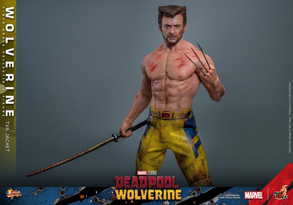 Hot Toys WOLVERINE Deadpool TVA JACKET VERSION 1/6 Action FIGURE Doll