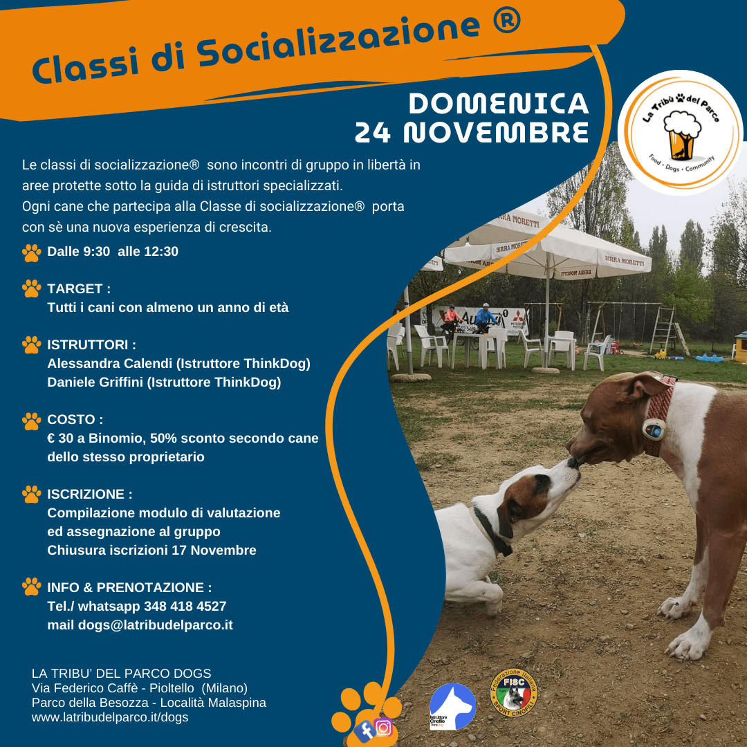 classi socializzazione, taxi bau, taxi dog milano, agility dog pioltello, agility dog milano, centro cinofilo milano, asilo cani, sport cinofili milano, milano dog, weekend cane, asilo cani milano, asilo per cani besozza, asilo per cani pioltello, segrate, melzo, cologno monzese, settala, novegro, sport cinofili, obedience,  disc dog, mantrailing, eventi cinofili milano, dog sitter milano, asilo per cani, piscina per cani, milano