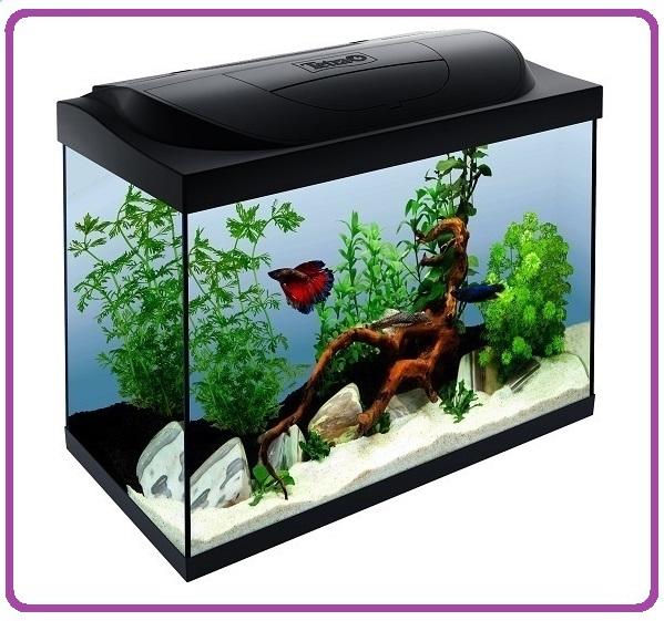 HOBBY... ACQUARIOFILIA... ACQUARIO TETRA Starter Line Led  80 Litri