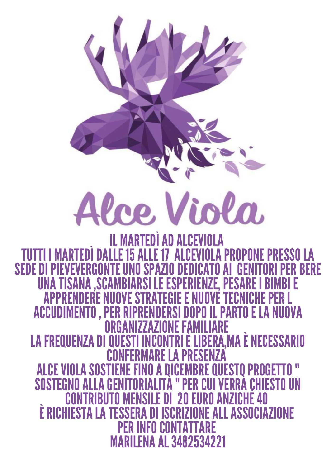 associazione, alce viola, pieve vergonte, famiglie, mamma, maternità, gravidanza, ossola