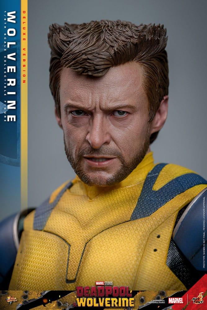 Hot Toys WOLVERINE Deadpool DELUXE 1/6 Action FIGURE Doll