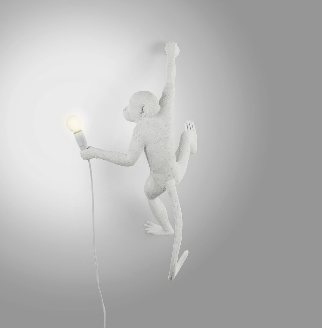 THE MONKEY LAMP HANGING