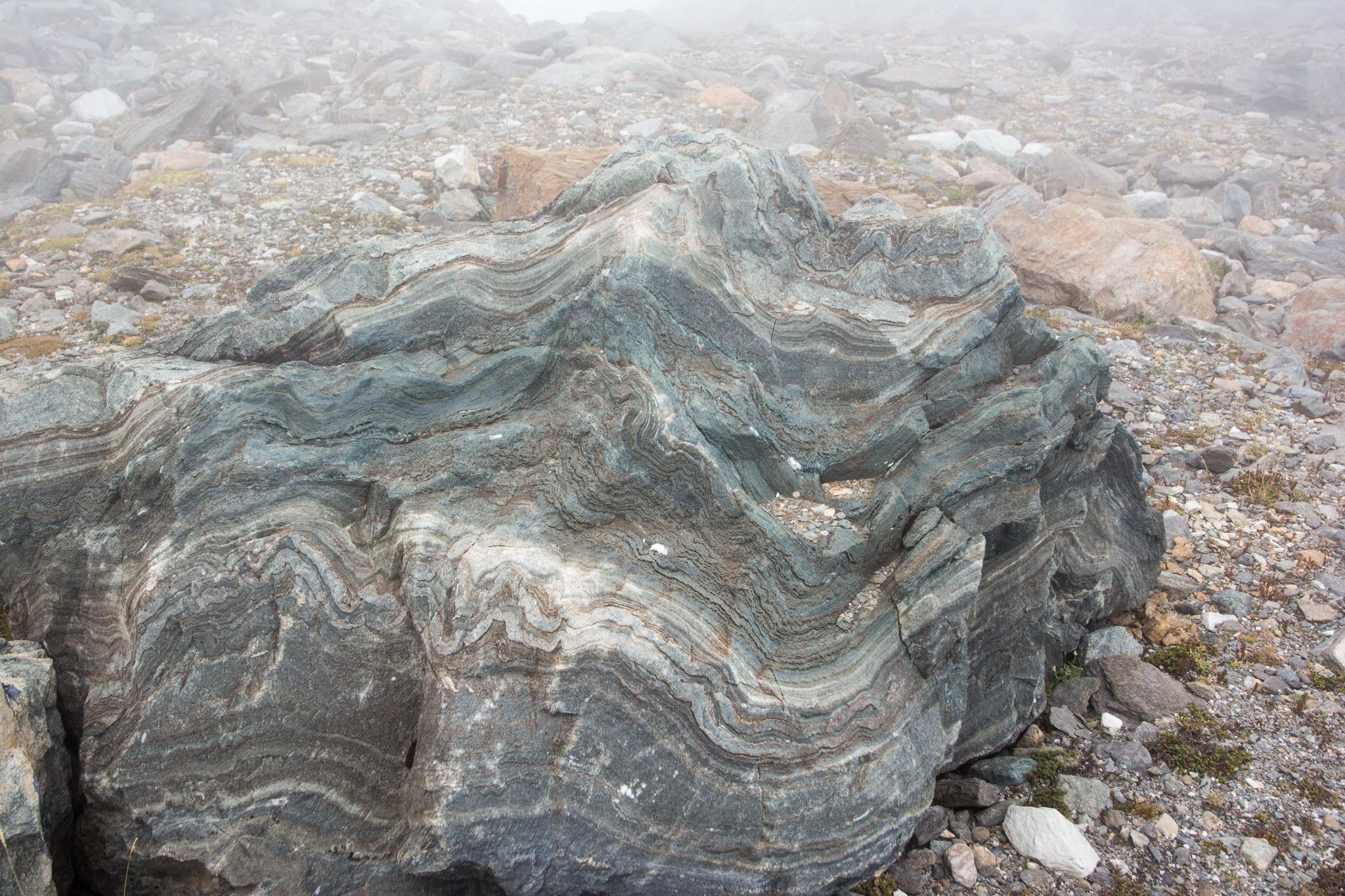 Le pieghe di questa roccia ci raccontano la sua tormentata origine