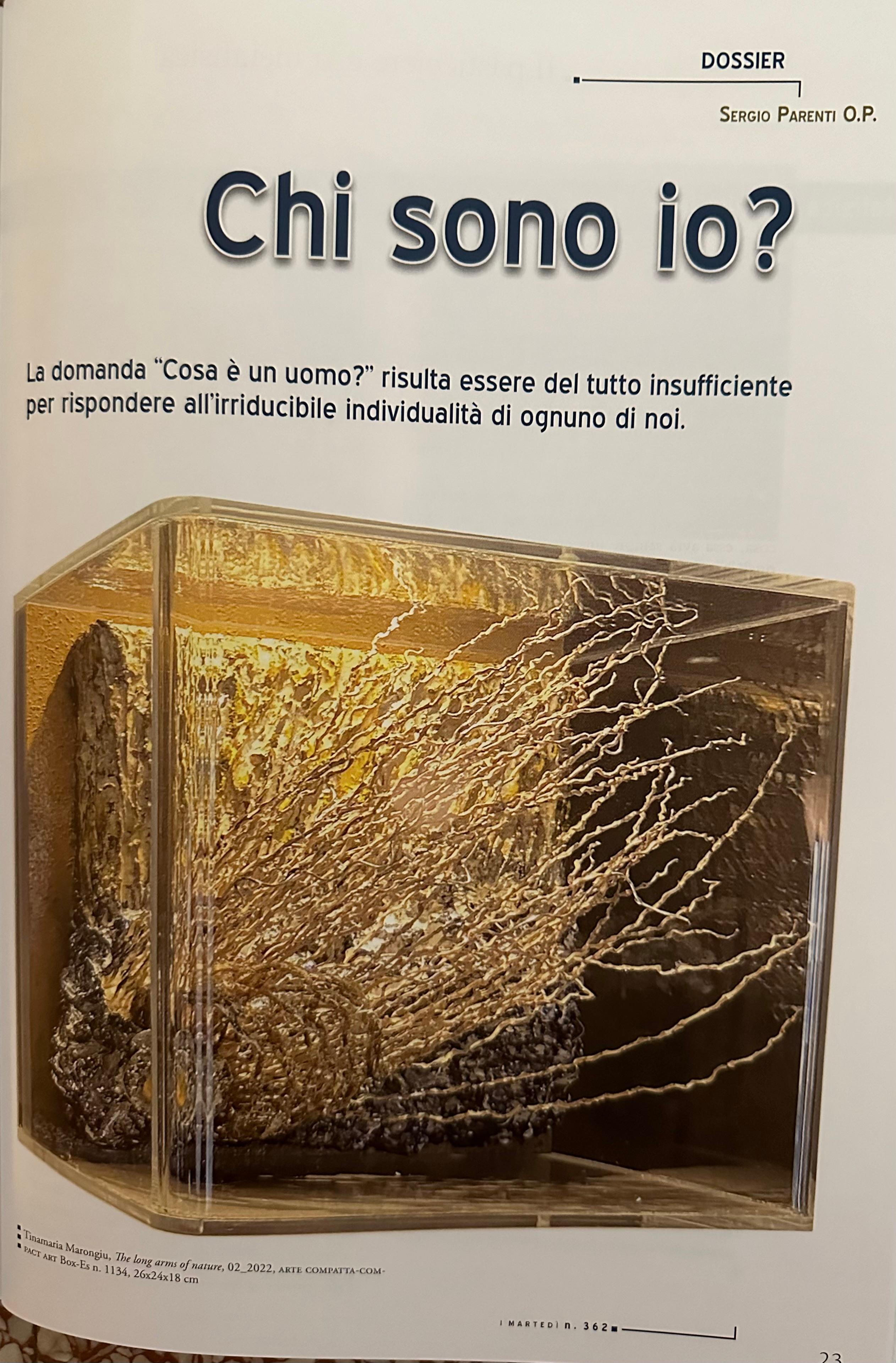 1 delle 30 immagini Box-Es all'interno della rivista