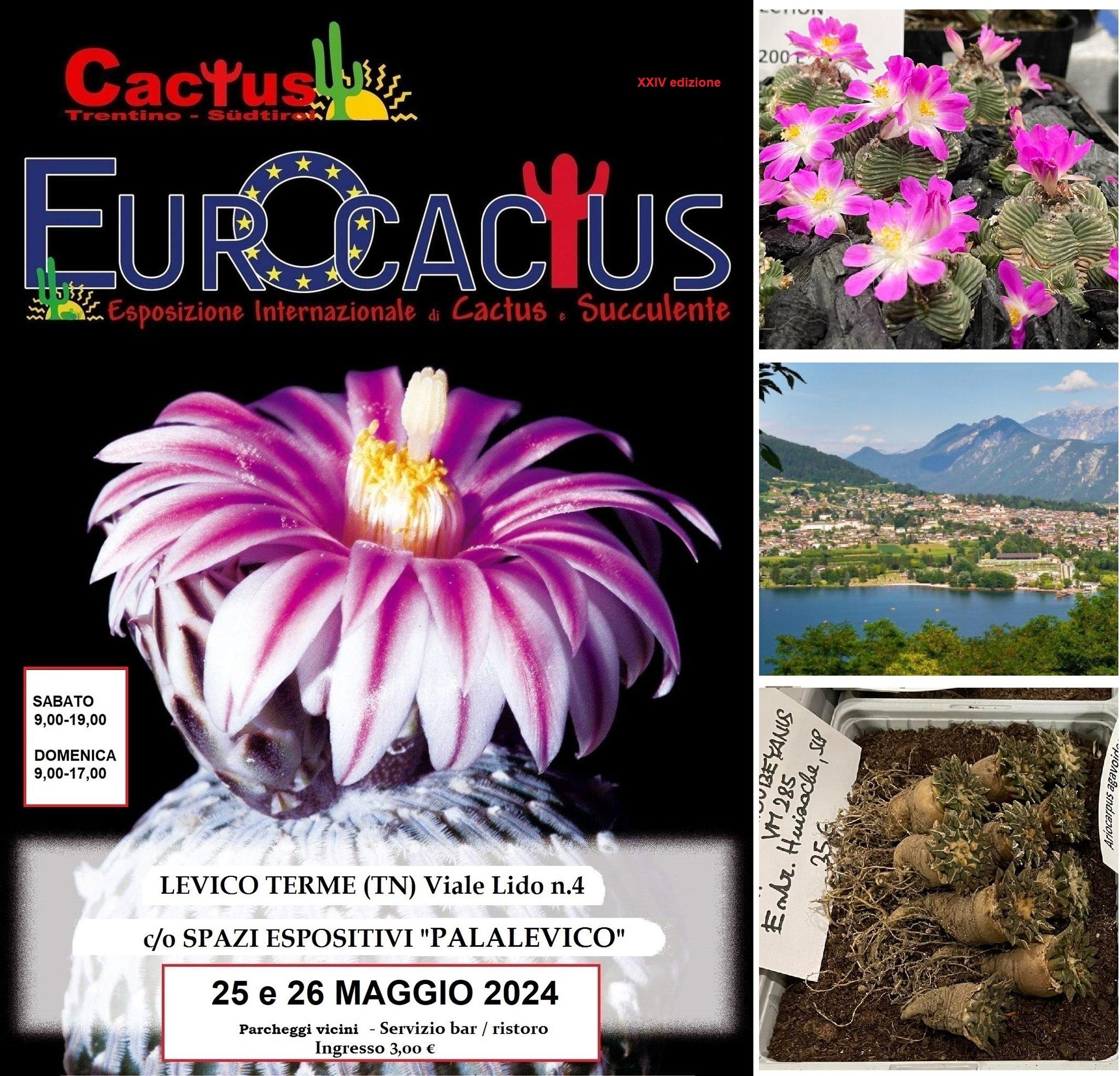 Agribernardo Luigi a Eurocactus, mostra internazionale di piante grasse a Levico Terme, in Trentino