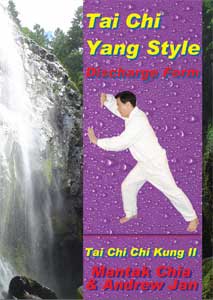 Tai Chi II Stile Yang - emissione della forza