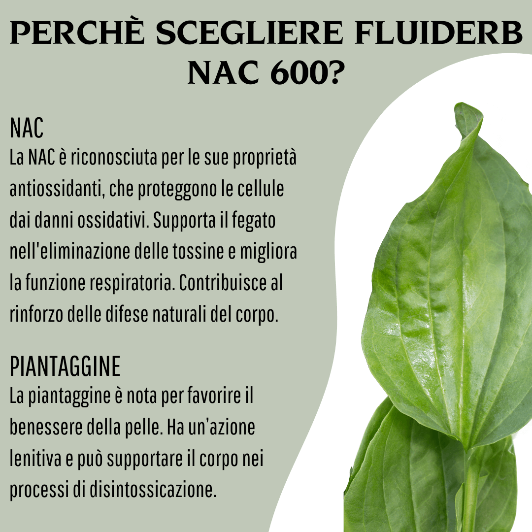 FLUIDERB NAC 600