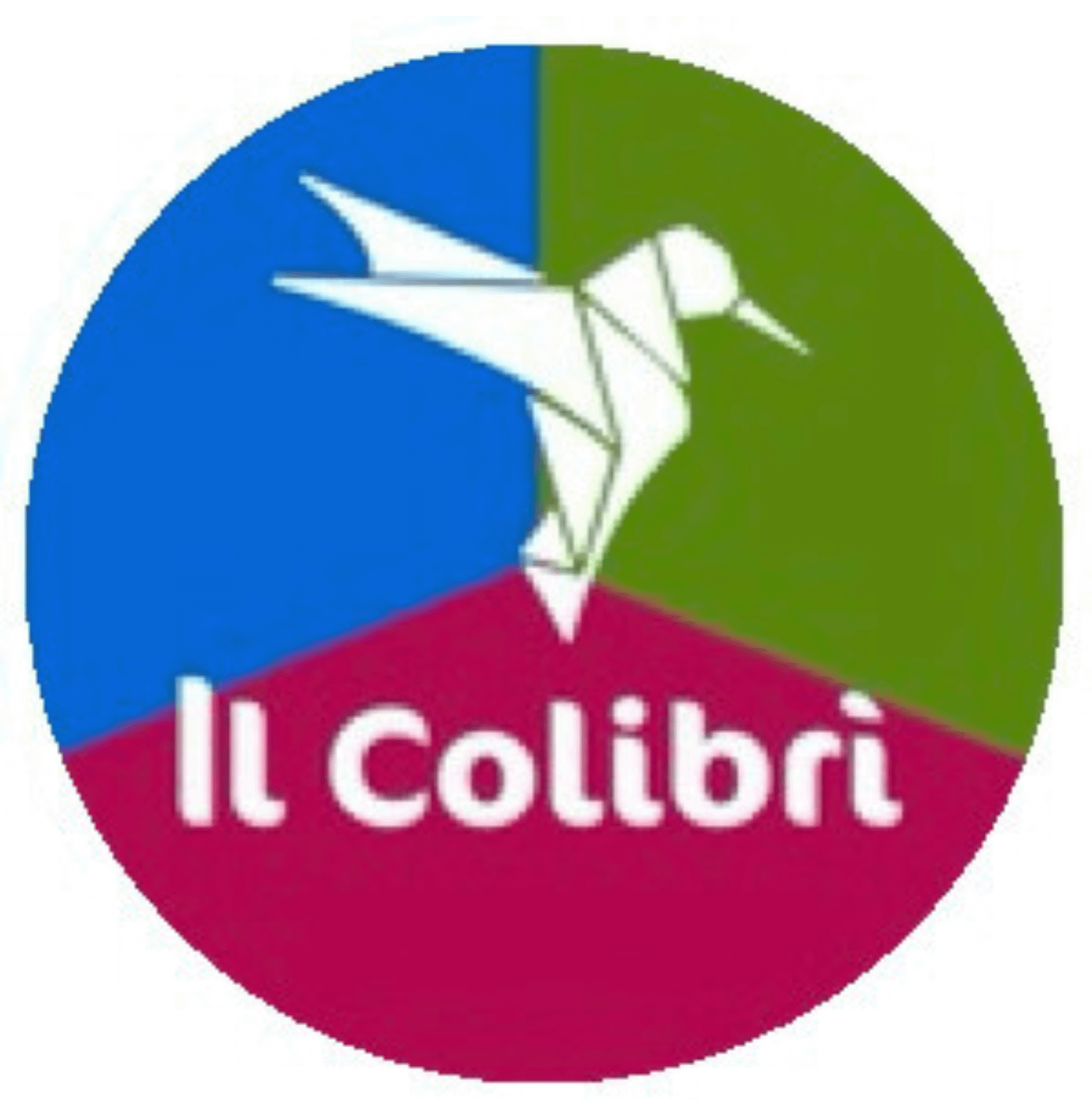 associazione colibrì domodossola ossola verbano cusio donna mamma maternità bambini