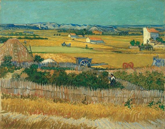 Biglietti per il Museo Van Gogh + Minicrociera sui canali