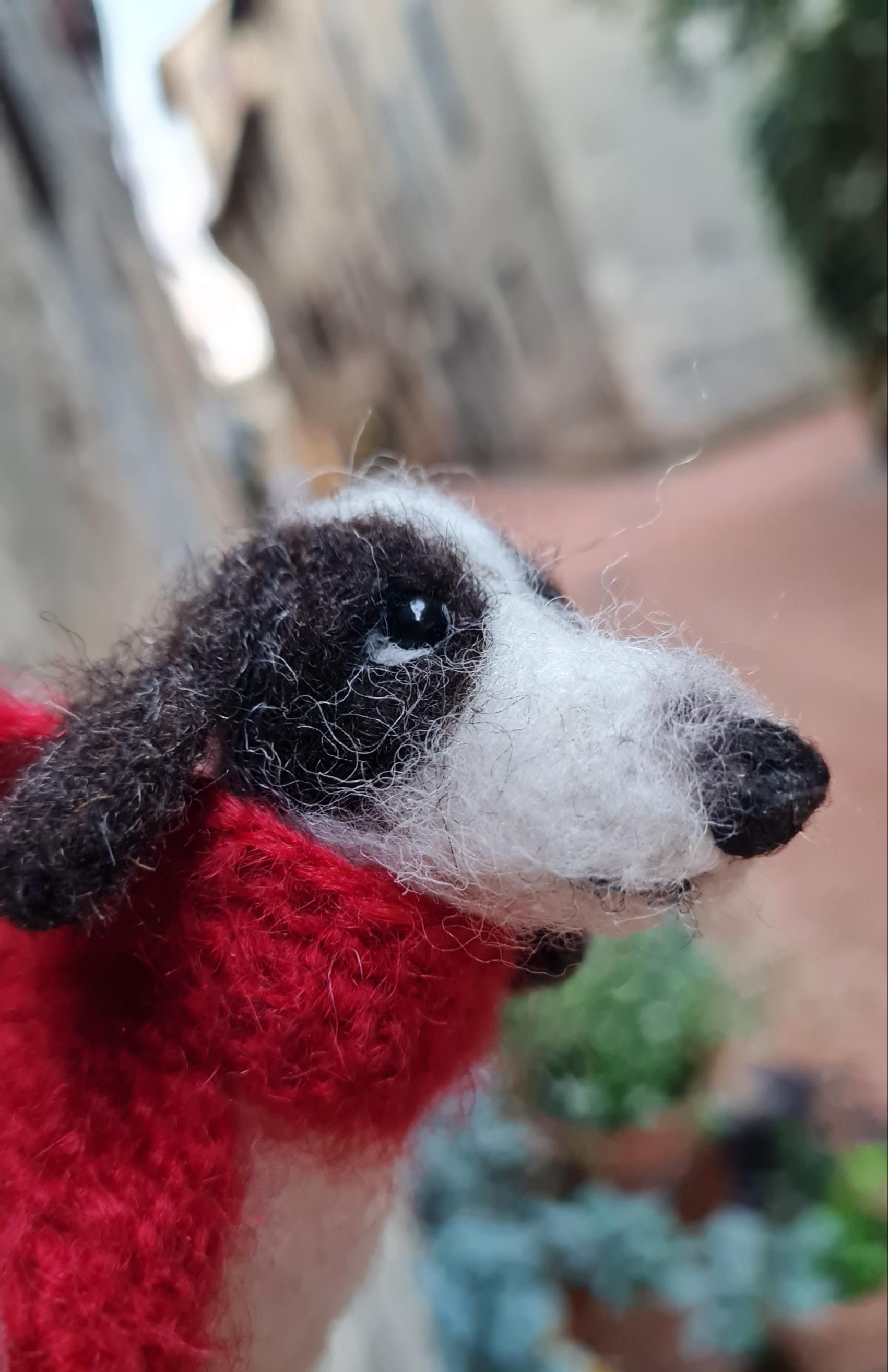 Cagnolino con sciarpa