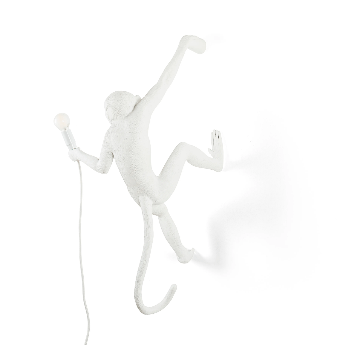 THE MONKEY LAMP HANGING