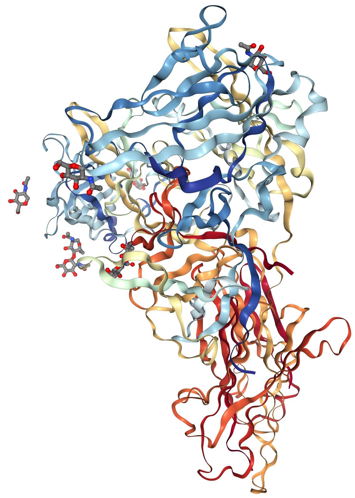 Interleuchina IL1R2