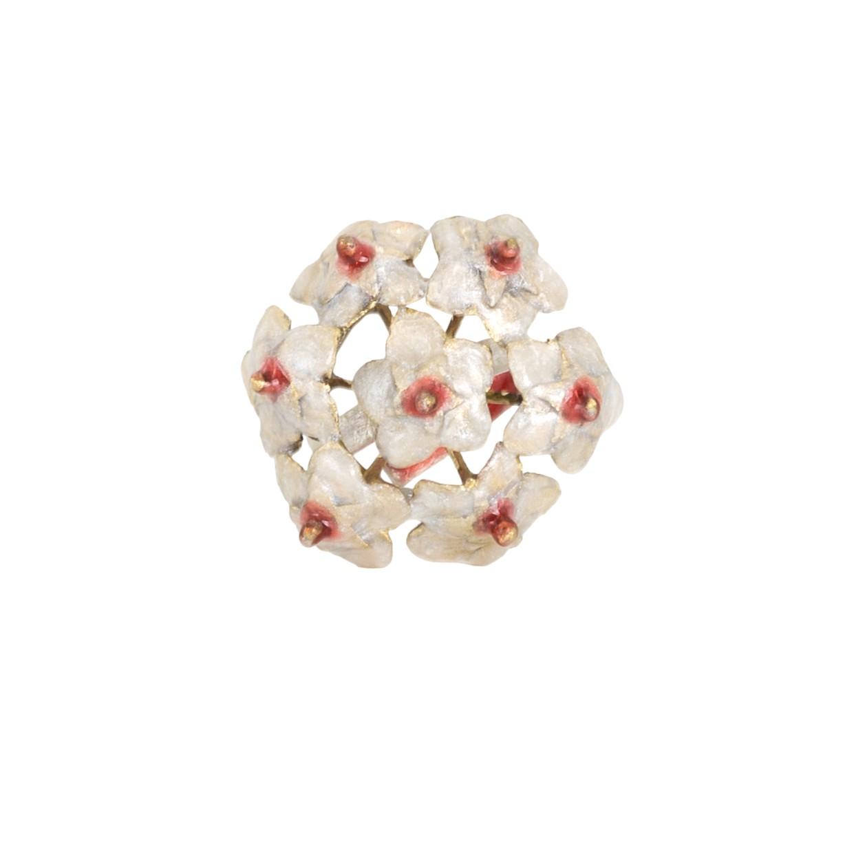 ANELLO HOYA CARNOSA : HOYA CARNOSA RING