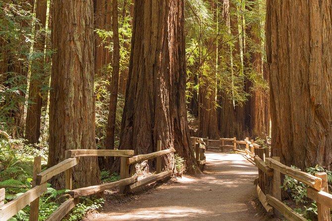 Escursione a Alcatraz e Muir Woods