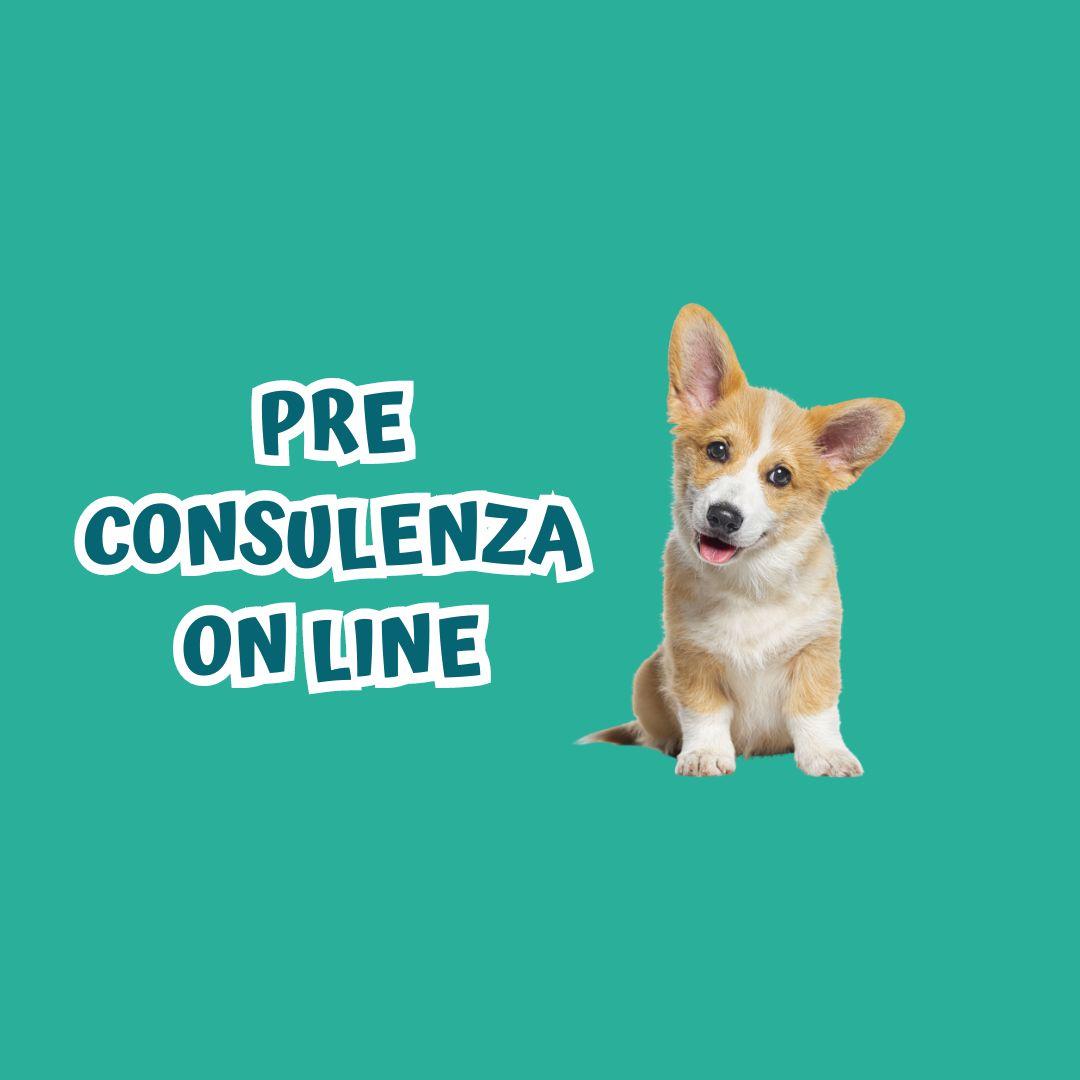 PRE CONSULENZA ON LINE