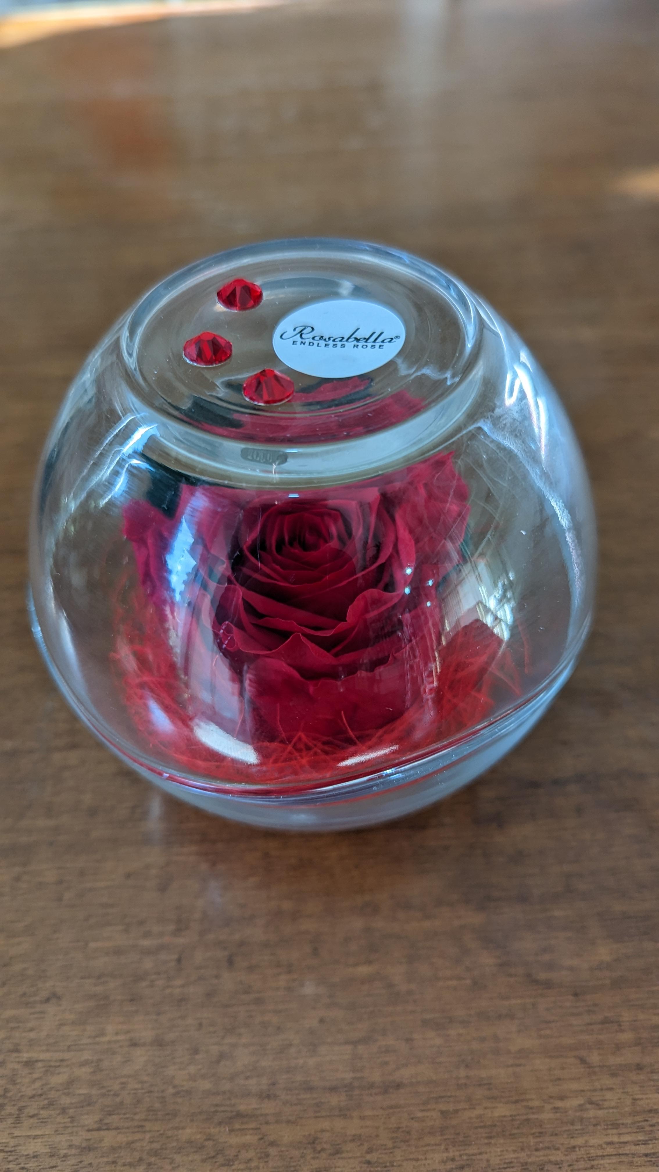 Rosa stabilizzata in sfera di cristallo