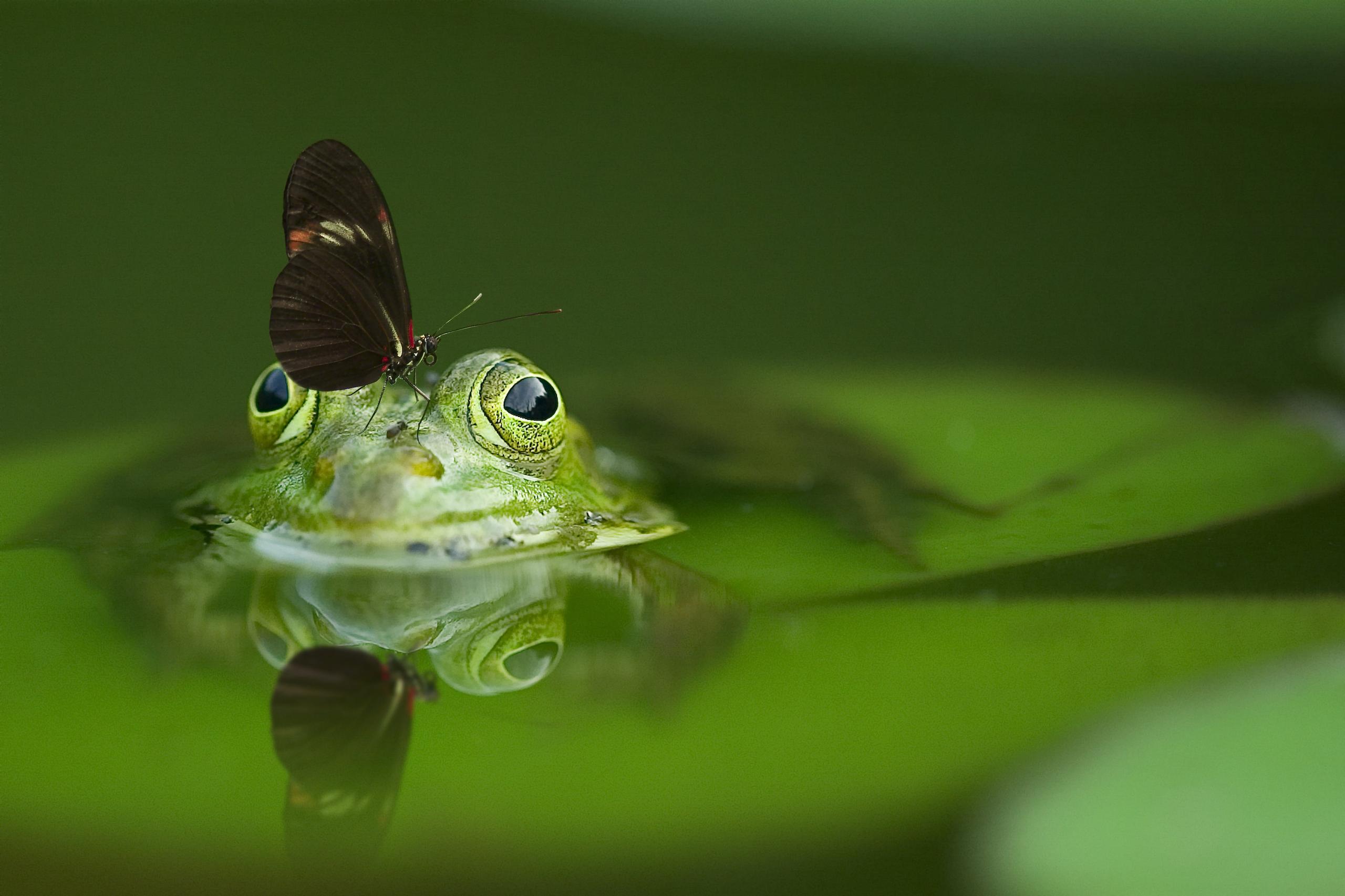 Mindfulness e Bambini