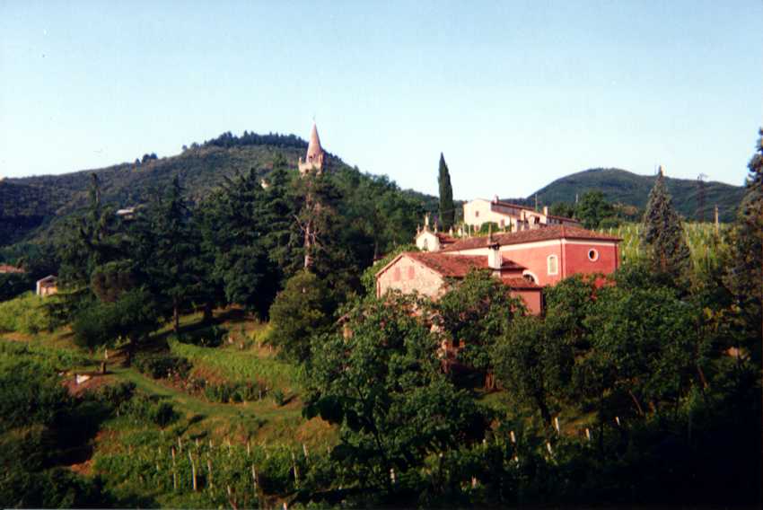 Colinas Euganeas: Monte Rua