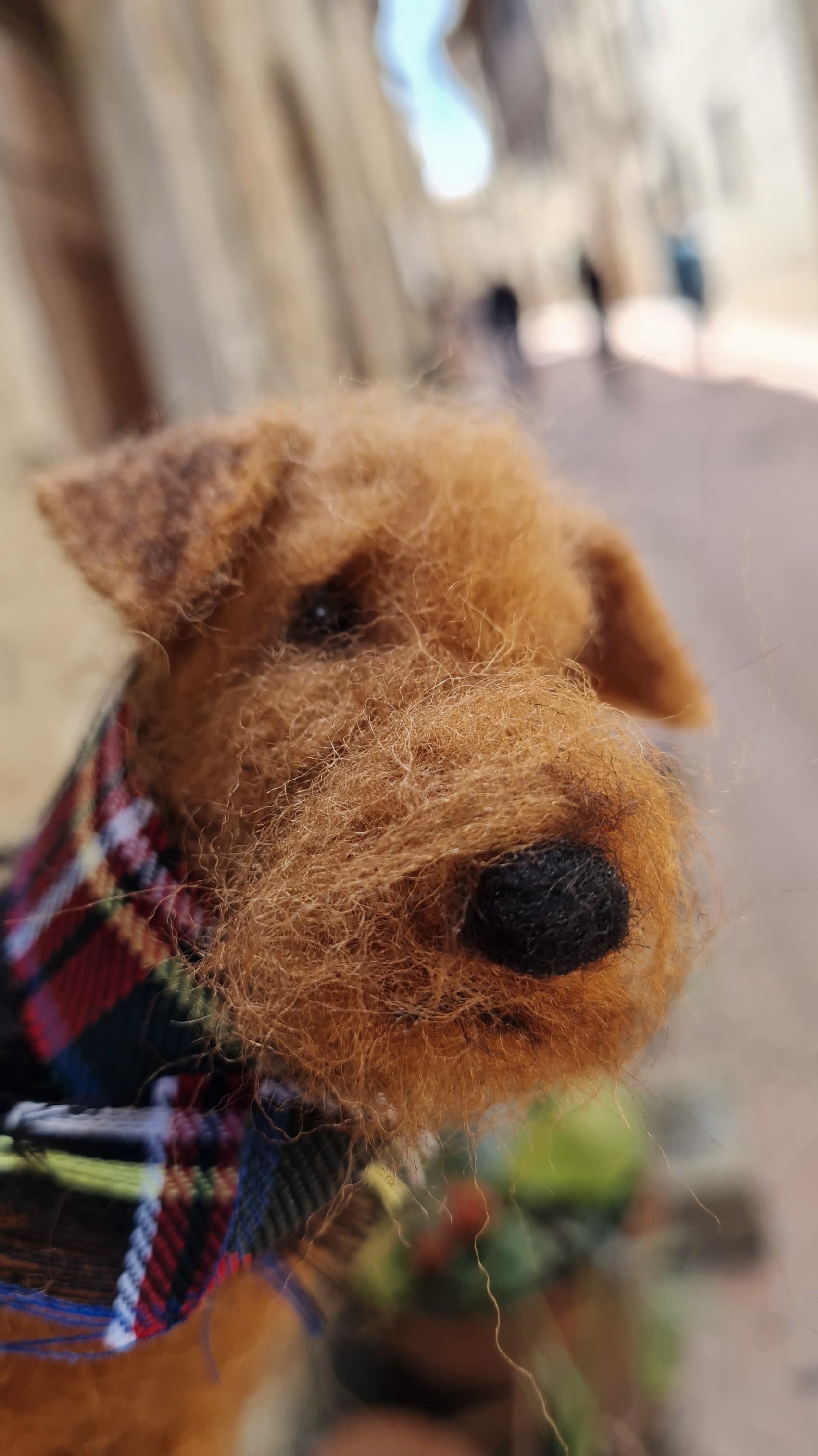 Airedale Terrier