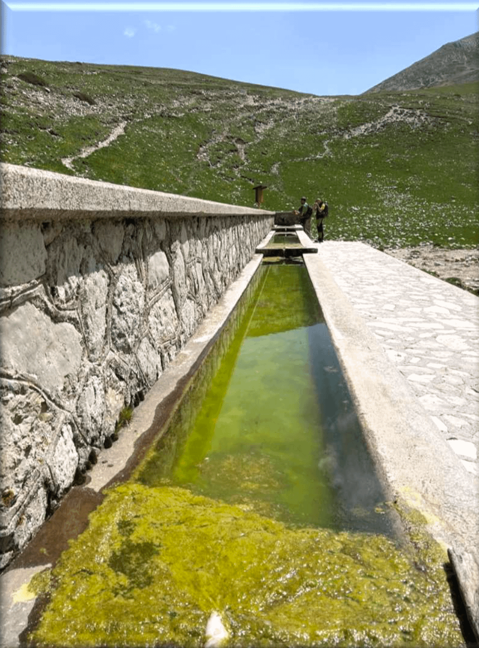 Fonte Nuova - Rif. Maiolica - Rif. Vallebona - 23 Giugno 2024