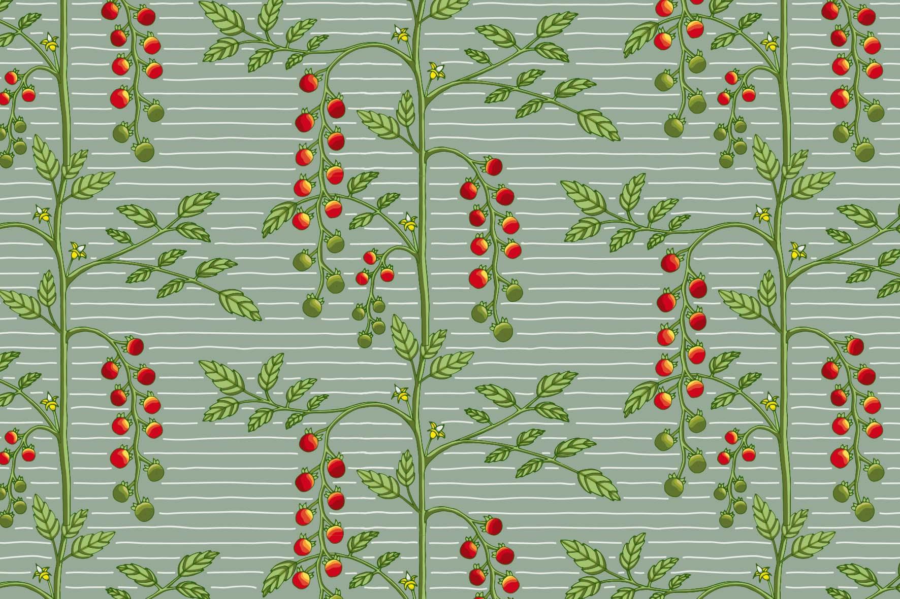 patter design, floral pattern design, handrawn floral pattern, handrawn pattern design, tomatoes designer pattern, meditettanean designer pattern, tomatoes plant pattern, italian pattern designer, customized pattern designer