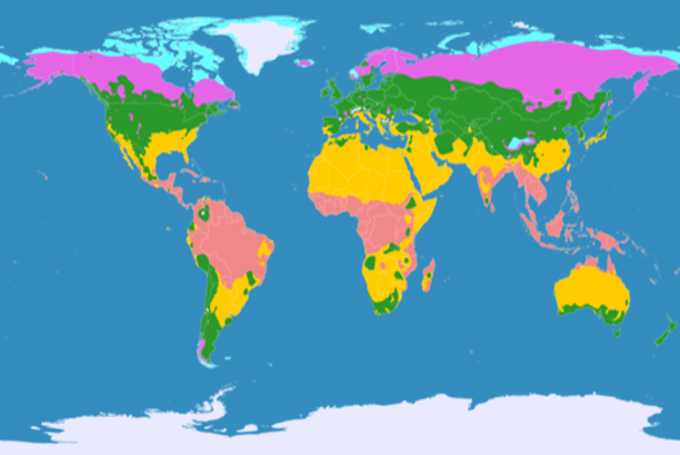 Classificazione aree climatiche: il metodo di Koppen