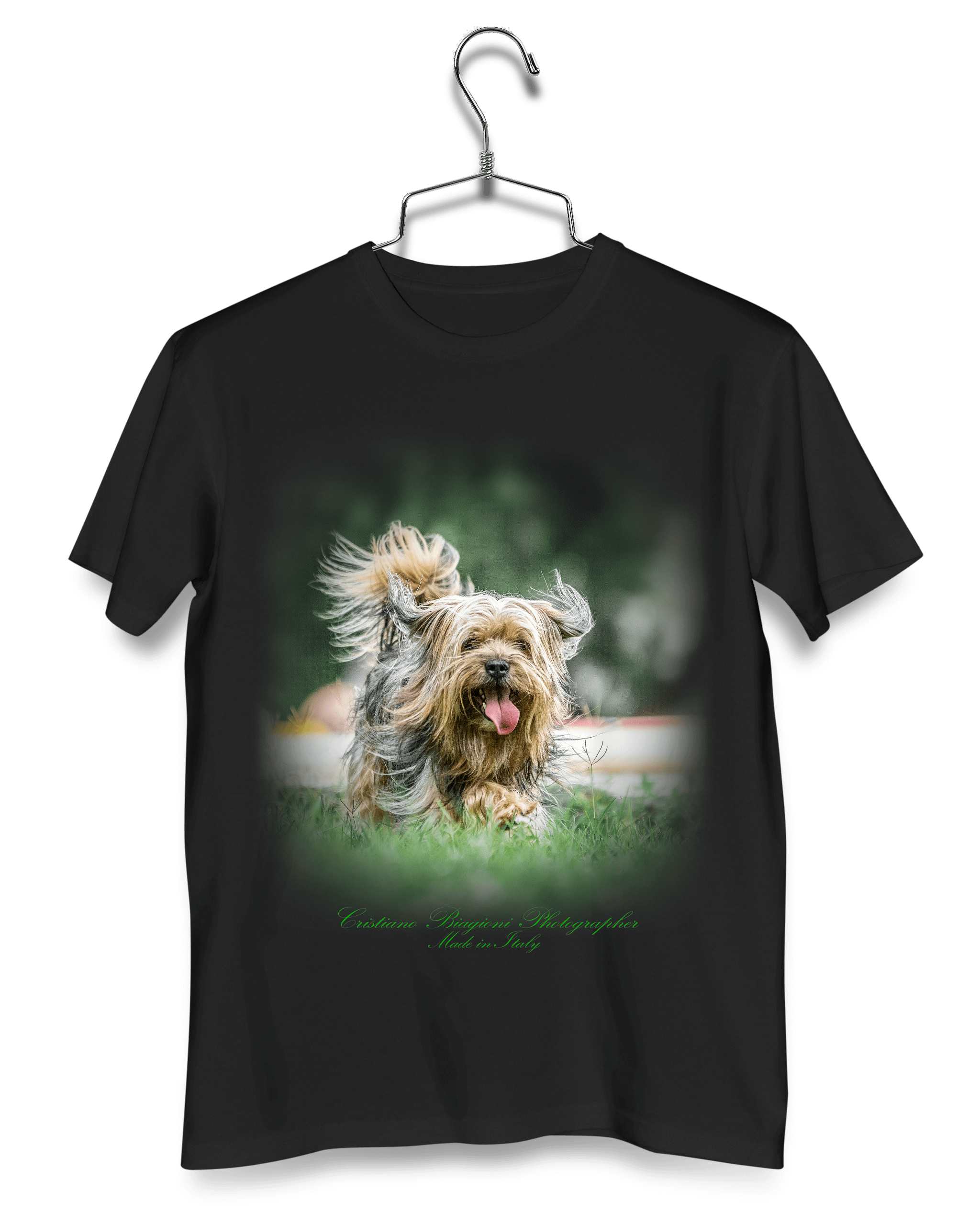 "Pet 4"