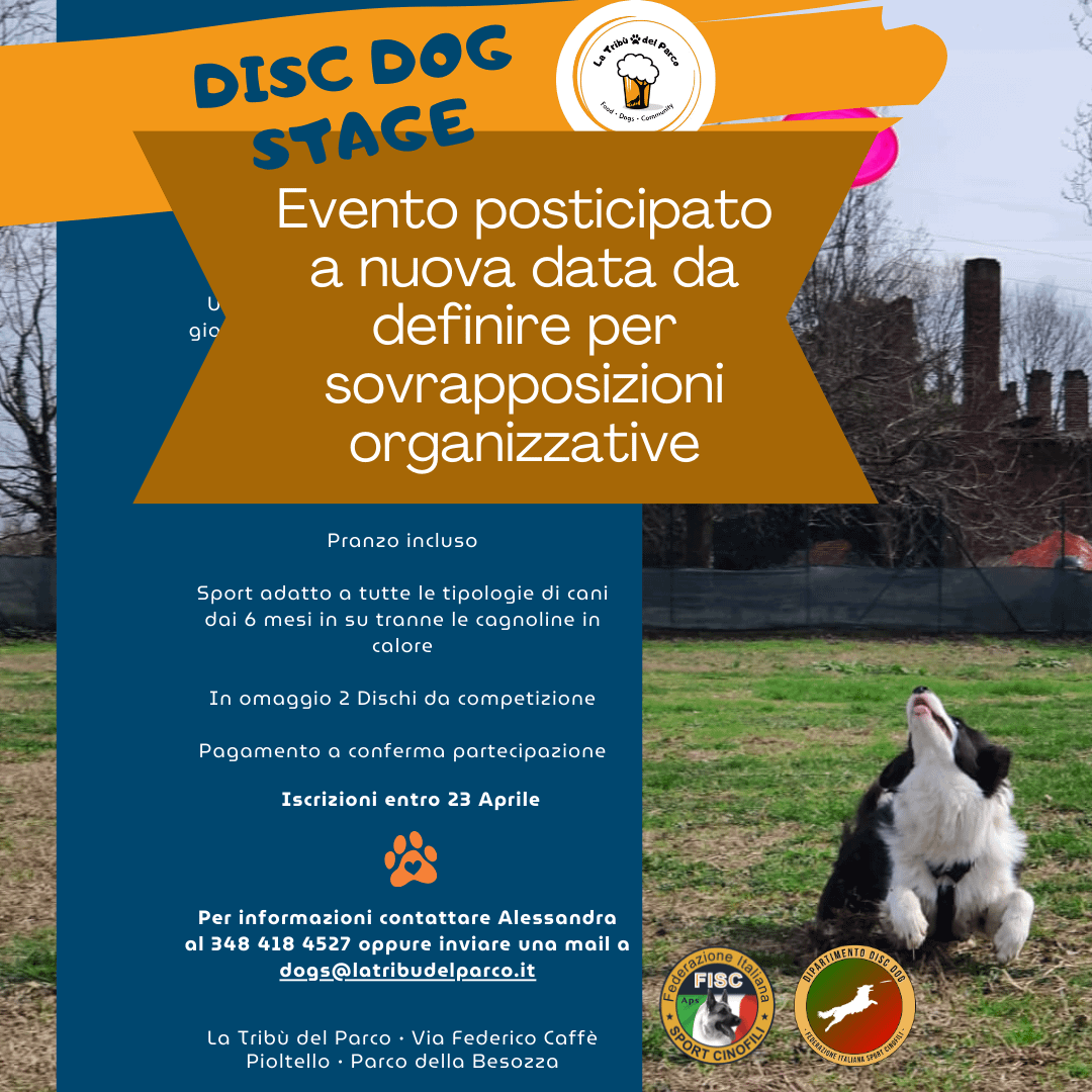 Disc Dog Stage centro cinofilo Parco della Besozza Pioltello Milano