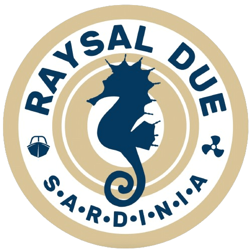 RAYSAL DUE 