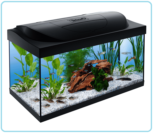 HOBBY... ACQUARIOFILIA... ACQUARIO TETRA Starter Line Led  54 Litri