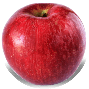 La mela annurca