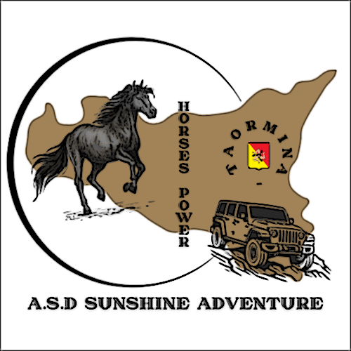 Sunshine Adventure Horses Power
