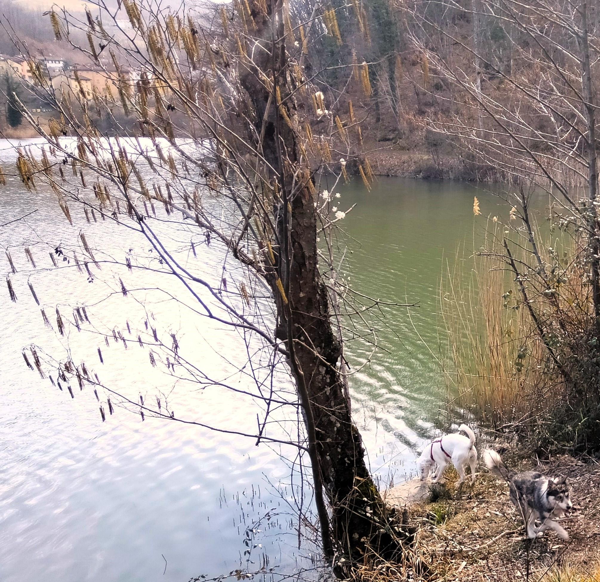 Lago di Castel dell'Alpi