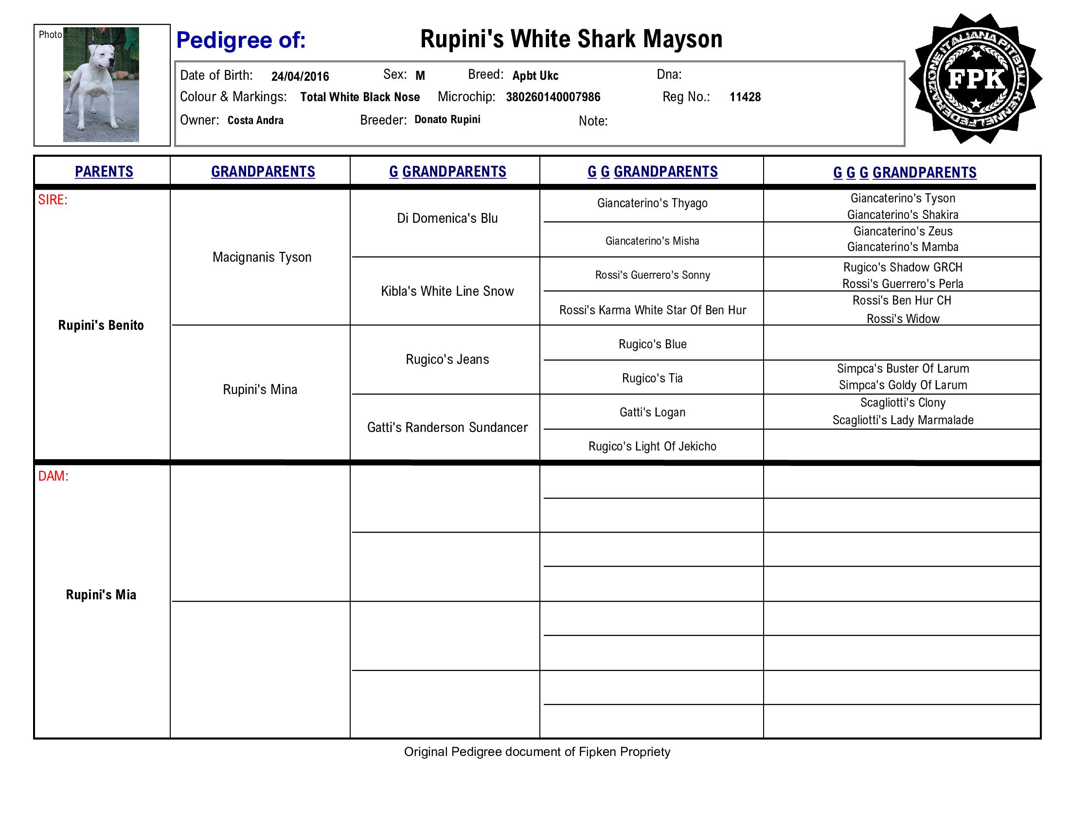 Rupini's White Shark Mayson