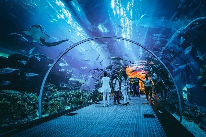 Biglietti per Dubai Aquarium