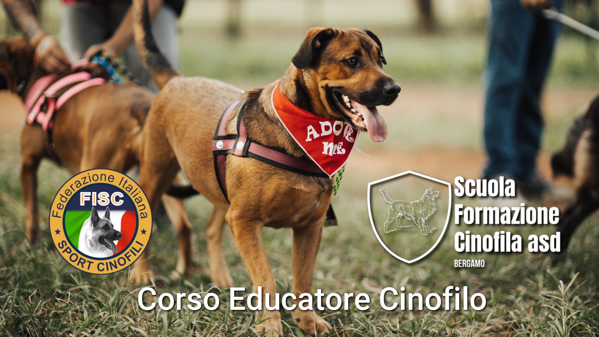 Corsi addestratore cani Bergamo e provincia