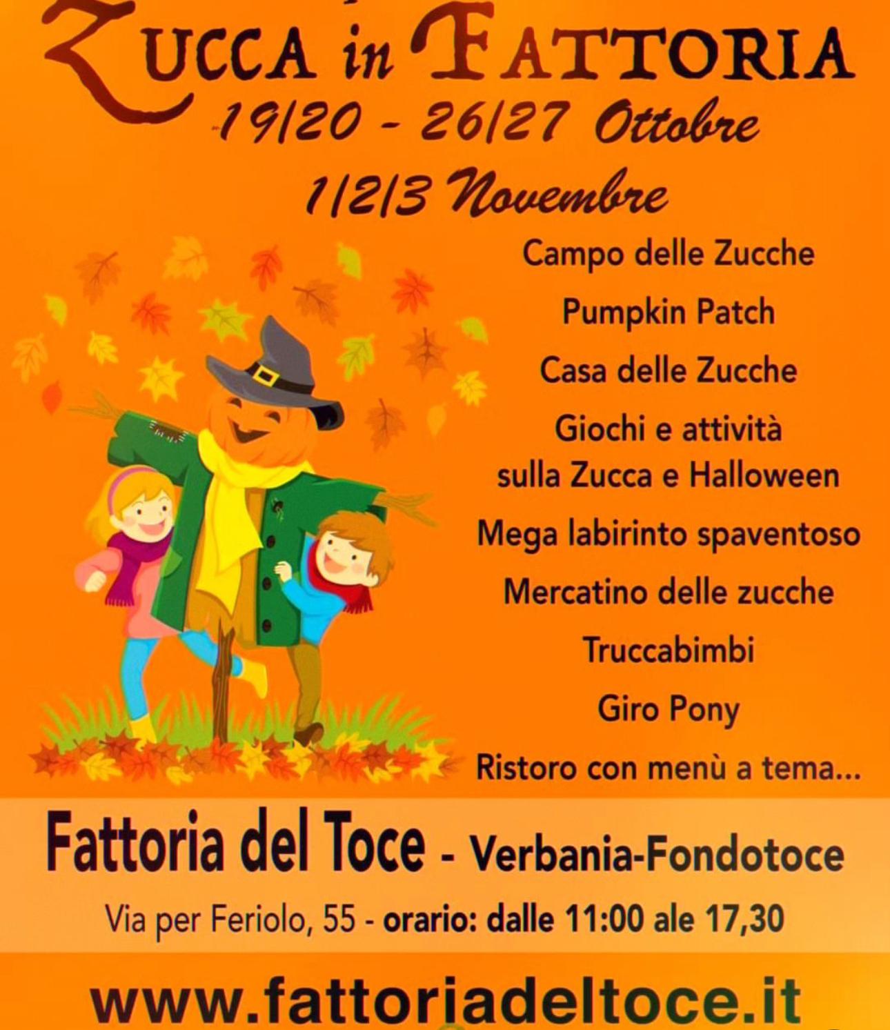 fattoria del toce, bambini, attività, famiglie, verbania, verbano, lago maggiore