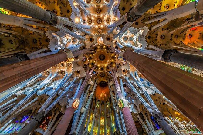 Sagrada Familia con accesso alle torri