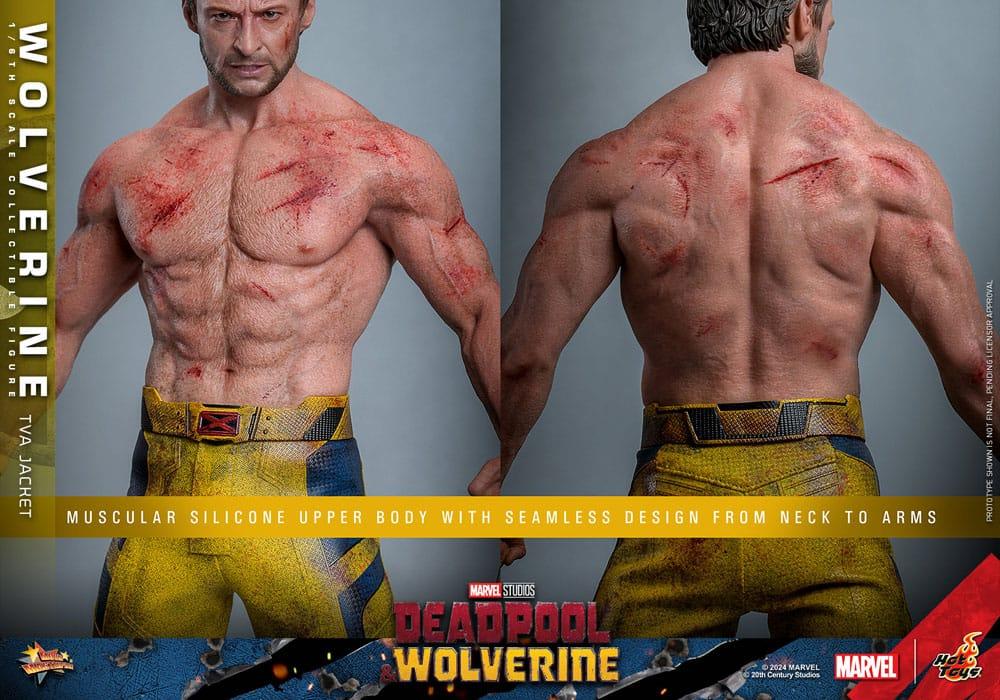 Hot Toys WOLVERINE Deadpool TVA JACKET VERSION 1/6 Action FIGURE Doll