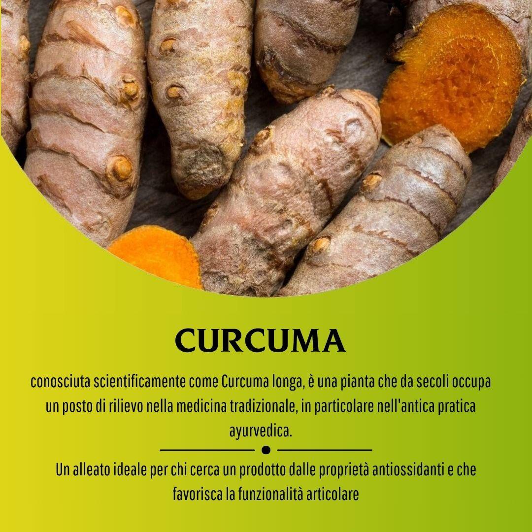 CURCUMA 100 CPS