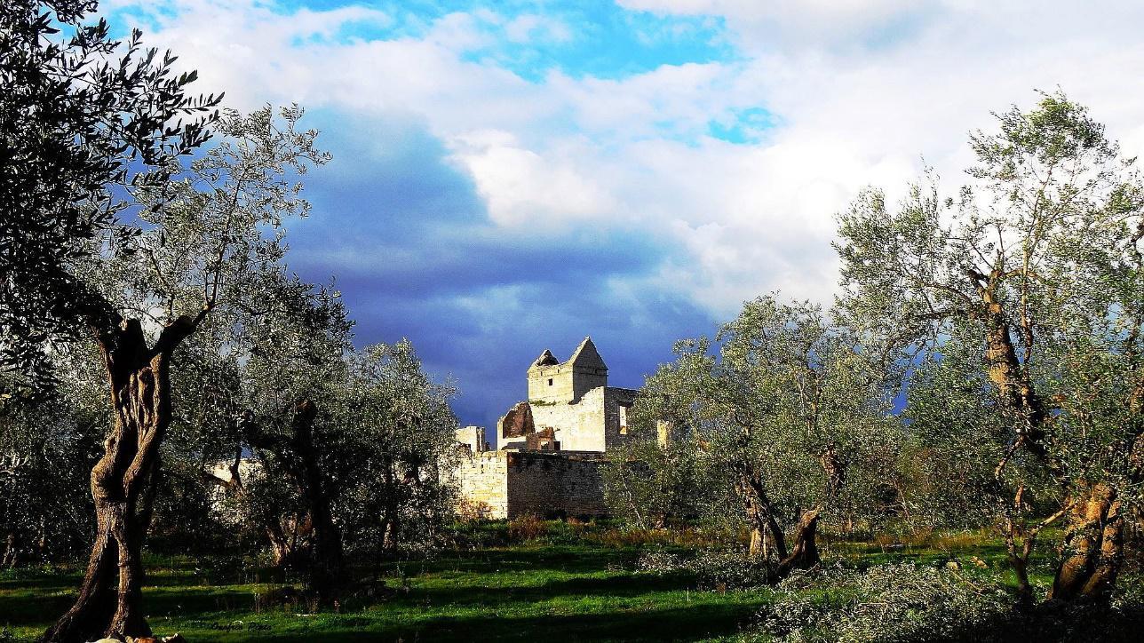 Torre-di-Richizzi-masseria-tra-Bari-e-Bitonto-ph-Onofrio-Pintojpg