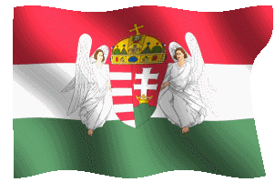 Bandiera_animata_flag_Ungheria_Regno_1867-1918gif