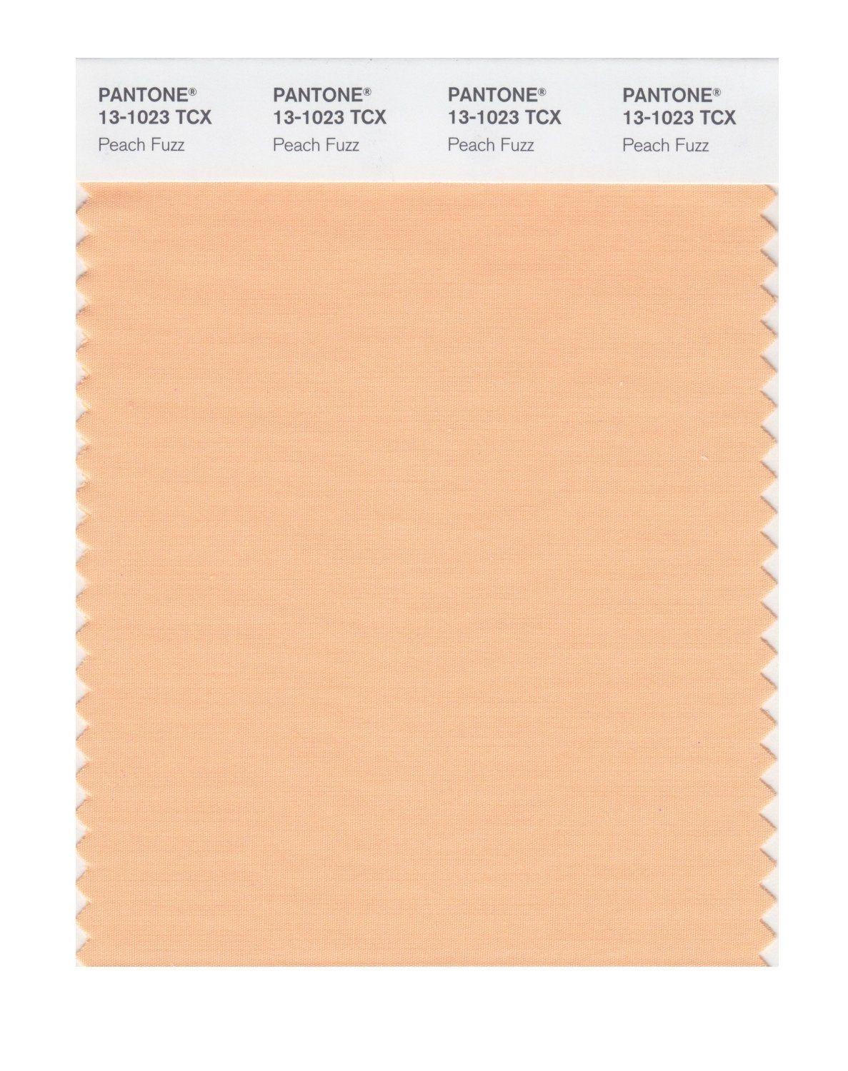 Armonia Color Pantone 2024 Peach Fuzz 13-1023