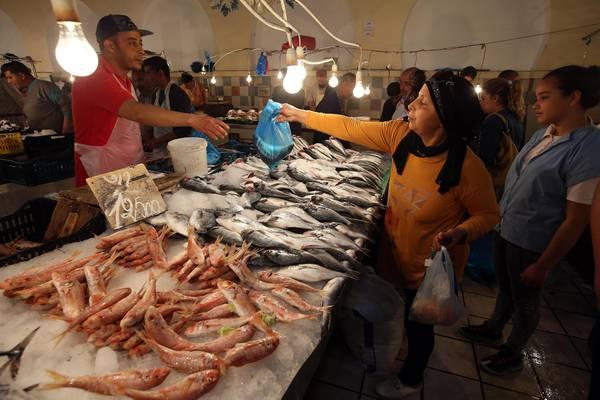 Tunisia: aumenta export pescato, Italia primo cliente