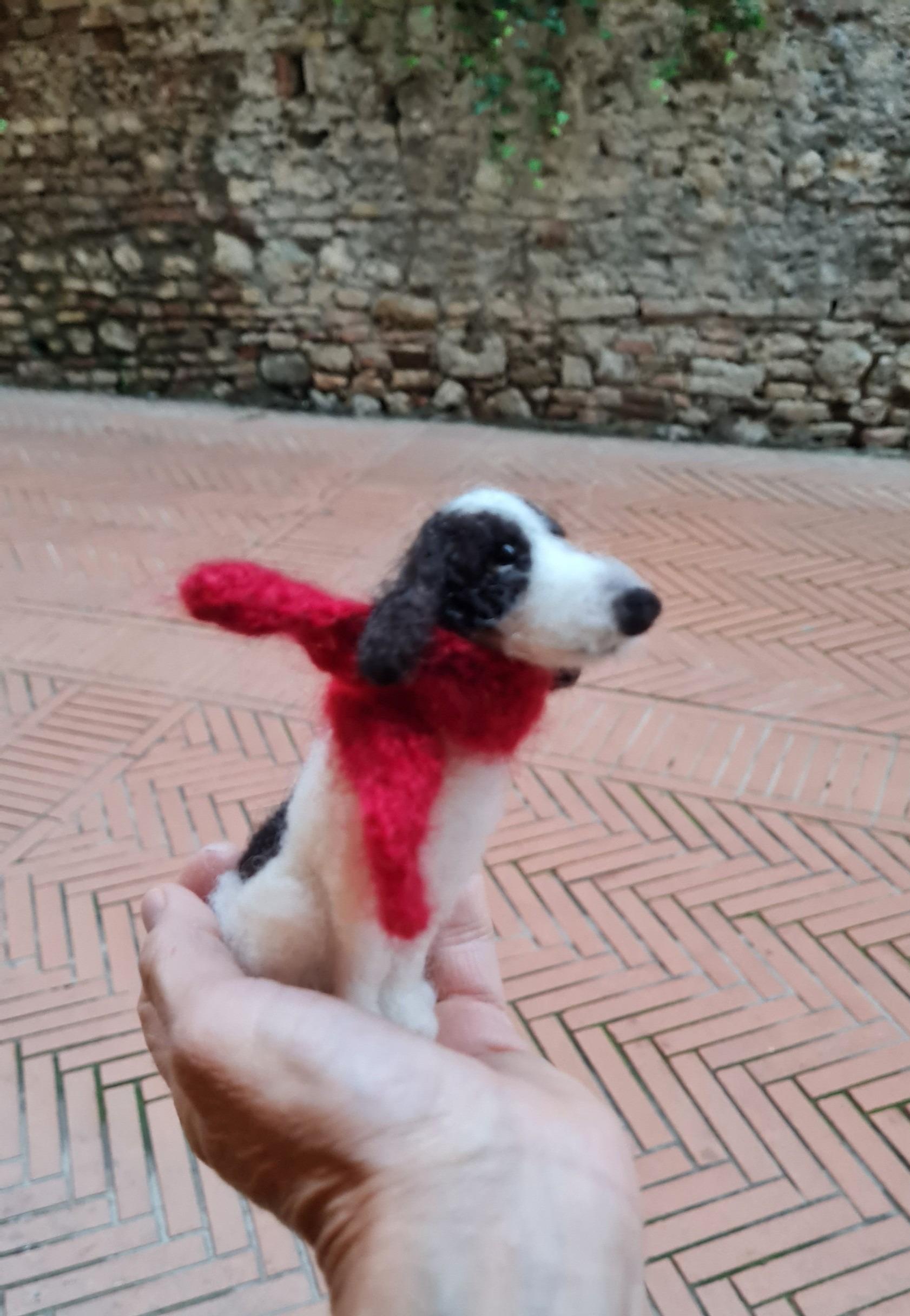 Cagnolino con sciarpa