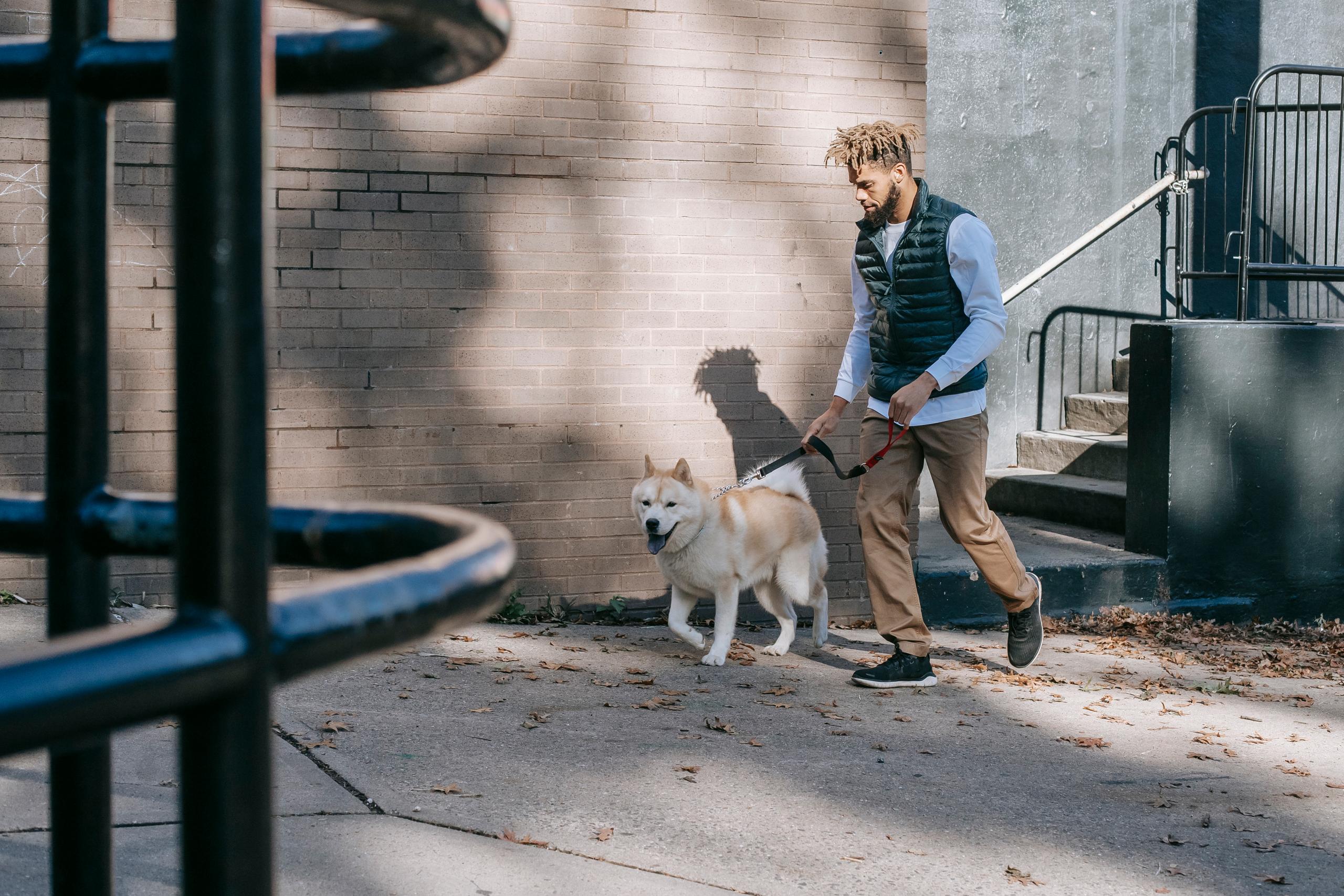 ragazzo con cane al guinzaglio a passeggio in città